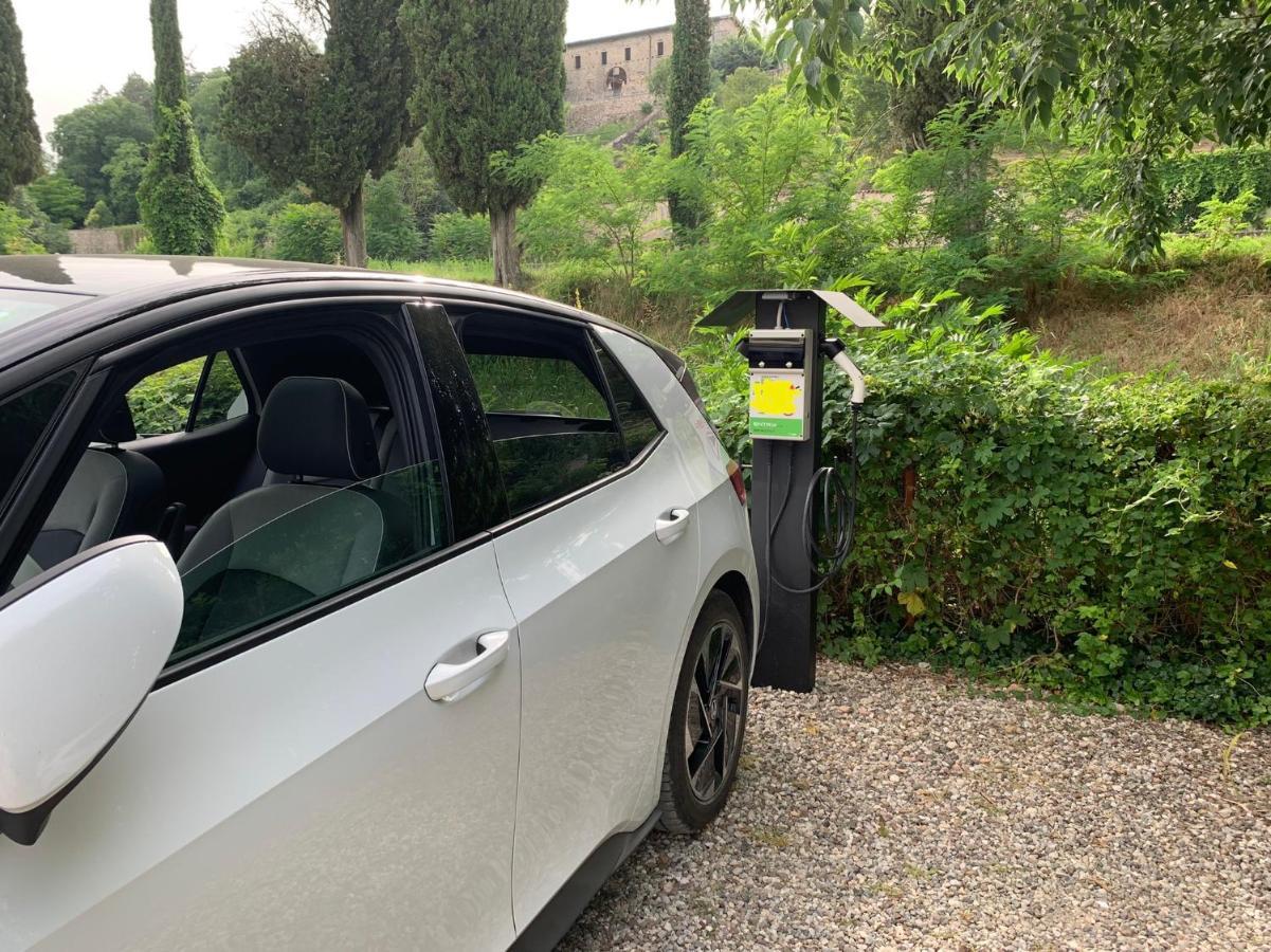 L'Isolo B&B E Case Vacanza Monzambano Exterior foto